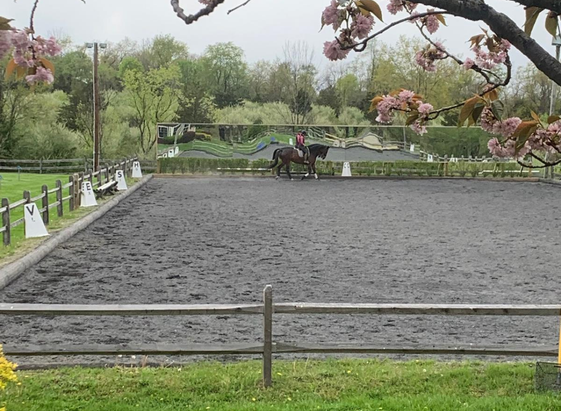 Outdoor ring at RCD in Flemington NJ Outdoor ring at RCD in Flemington NJ